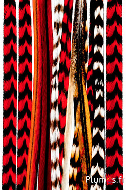Gallo grizzly ciocca di 3 piume - 20-30 cm - rosso